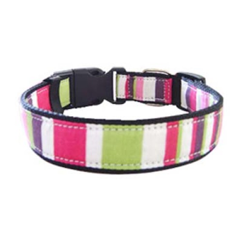 Dog Collars